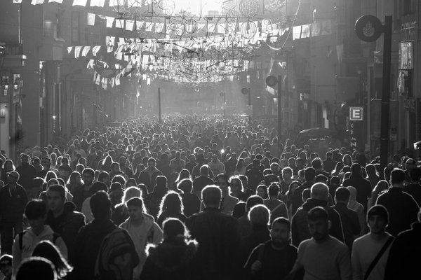 Dans quelle situation faire intervenir un expert anti nuisible ?